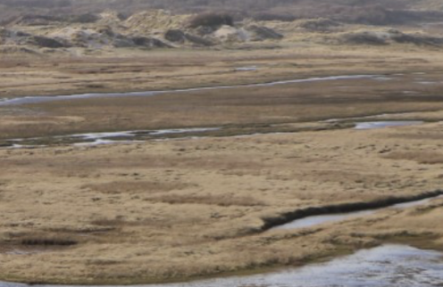 Een Perfecte Dag op Texel – 4 Tips die je niet mag missen. img